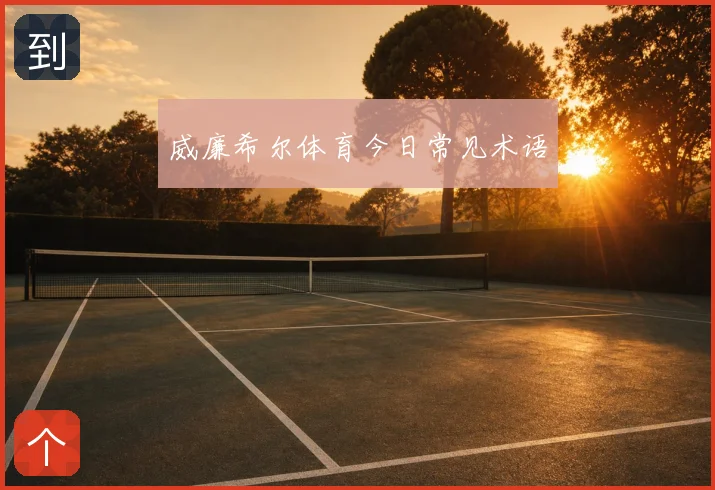 威廉希尔体育今日常见术语